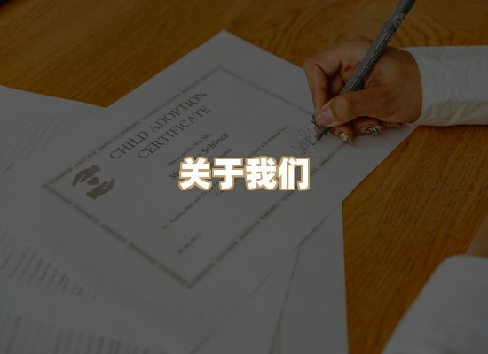 关于紫星资质排版网